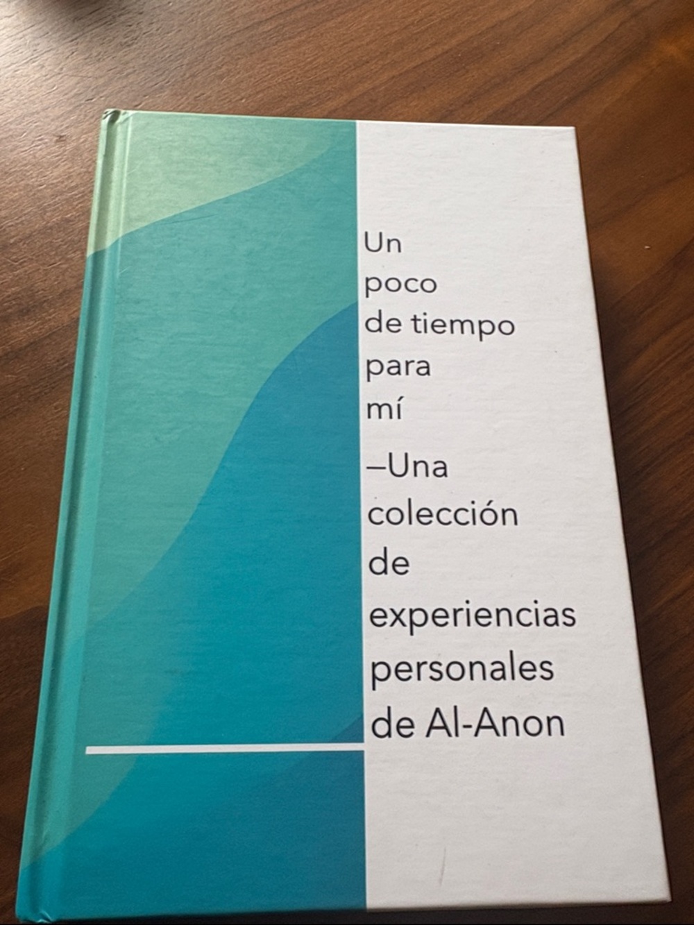 Spanish Al-Anon Hardcover Journal - Teal & White